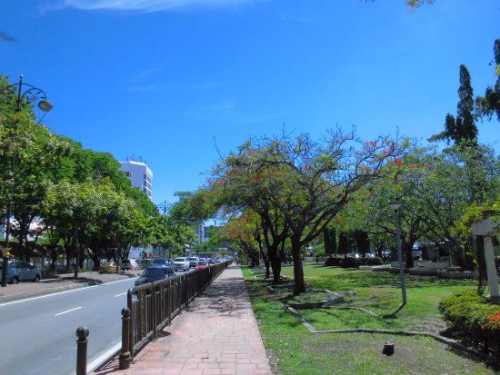 City Park